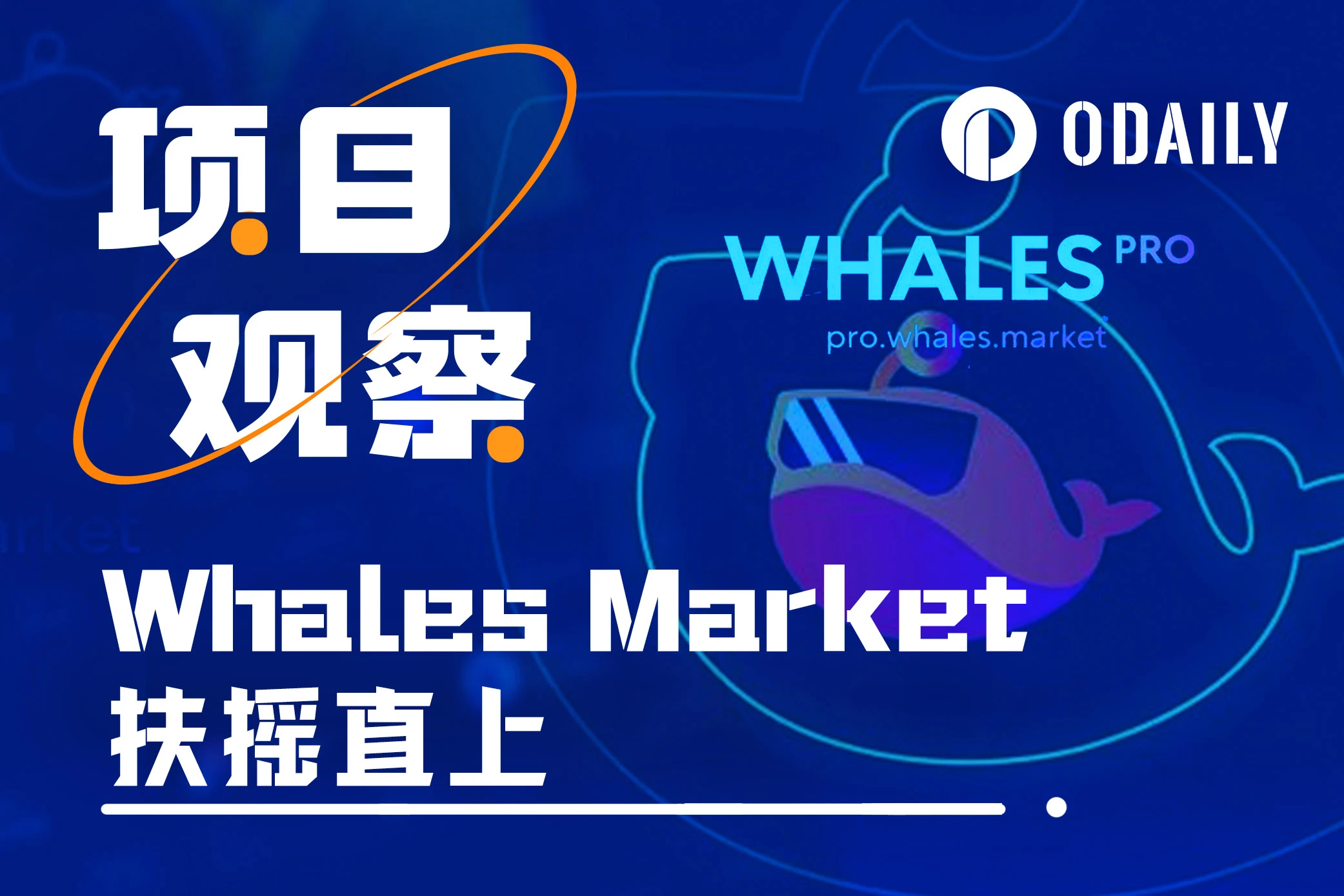 空投积分交易市场Whales Market参与指南和前景预测
